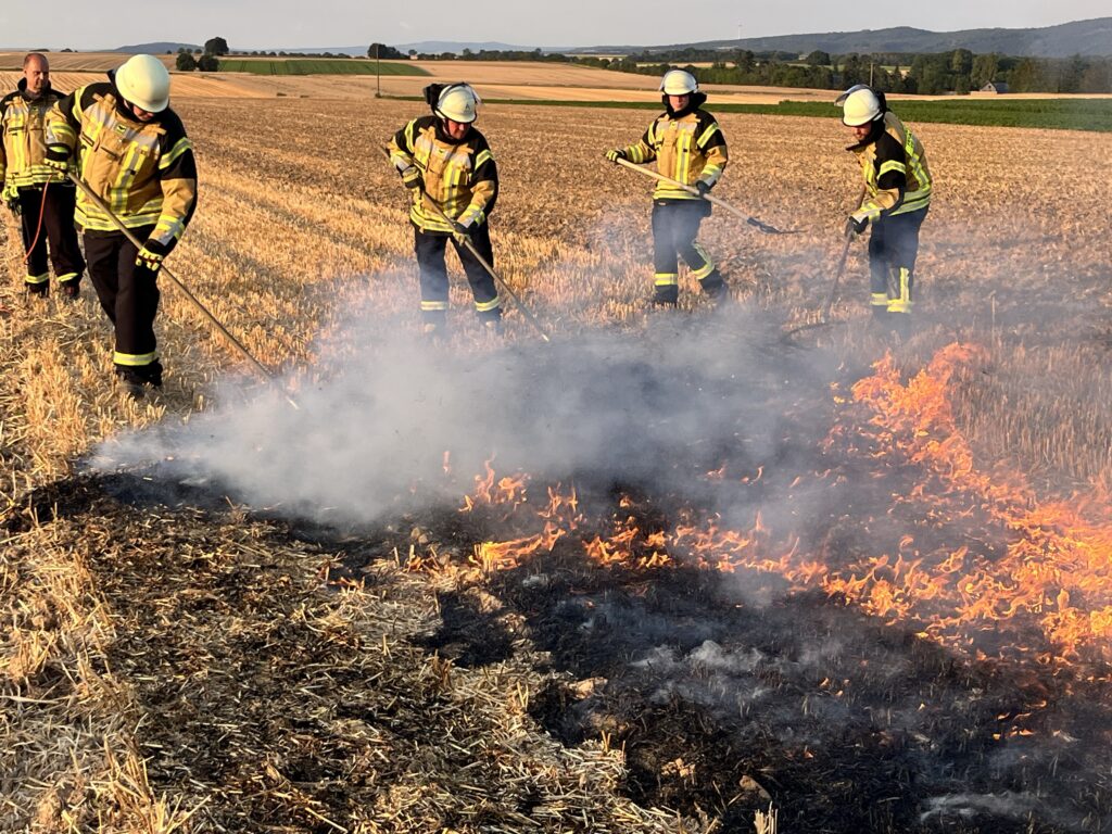 4 feuerwehrleute mit schutzkleidung löschen ein kleines strohfeuer mit feuerpatschen